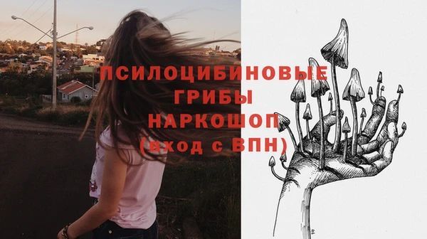 гидропоника Инсар