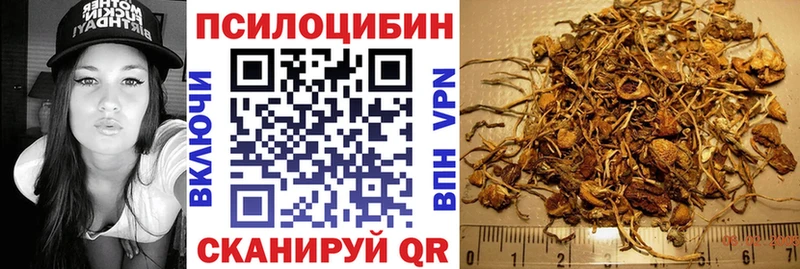 даркнет сайт  Тамбов  кракен онион  Псилоцибиновые грибы Psilocybine cubensis 